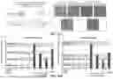 Fig. 37 - MULTIVALENT NANO-'SELF' PEPTIDES AND USES THEREOF