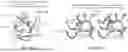 Fig. 41 - MULTIVALENT NANO-'SELF' PEPTIDES AND USES THEREOF