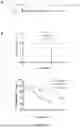 Fig. 07 - ANTIBODY AGAINST SARS-COV-2