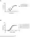 Fig. 09 - ANTIBODY AGAINST SARS-COV-2