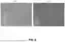 Fig. 07 - METHODS OF GENERATING OLIGODENDROCYTE PROGENITOR CELLS AND USE THEREOF