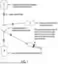 Fig. 02 - Methods for Storing Hematopoietic Stem Cells