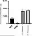 Fig. 01 - MEDIUM AND METHOD FOR PRODUCING A BONE MARROW RECONSTITUTION