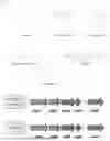 Fig. 02 - GENETICALLY MODIFIED AZOTOBACTER VINELANDII STRAINS AND METHODS OF USING SAME
