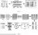 Fig. 02 - METHODS OF DETECTING CONGENITAL HEART DISEASE