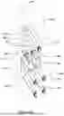 Fig. 07 - Fluid-dispensing systems and methods related thereto