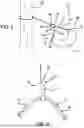 Fig. 03 - ACCESSORY SUPPORT FOR HUNTING SADDLE