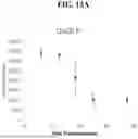 Fig. 30 - PRESSED AND MIXED THIN FILM ENZYMATIC REACTOR AND METHODS OF MAKING THE SAME