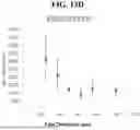 Fig. 33 - PRESSED AND MIXED THIN FILM ENZYMATIC REACTOR AND METHODS OF MAKING THE SAME