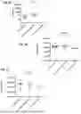 Fig. 07 - Lipid Abnormalities and Association with Atopic Allergic Diseases