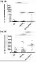 Fig. 13 - Lipid Abnormalities and Association with Atopic Allergic Diseases
