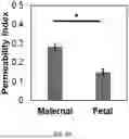 Fig. 15 - IN VITRO MODEL DEVICE FOR PLACENTAL BARRIER