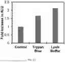Fig. 18 - IN VITRO MODEL DEVICE FOR PLACENTAL BARRIER