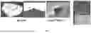 Fig. 06 - METHOD OF SAMPLE PREPARATON AND ANALYSIS