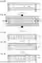 Fig. 04 - WAFER PLACEMENT TABLE