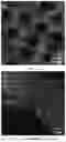 Fig. 07 - PREPARATION METHOD FOR AND USE OF SELF-ASSEMBLY-BASED NITROGEN-DOPED ORDERED POROUS PRECIOUS METAL NANOMATERIAL