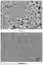 Fig. 10 - PREPARATION METHOD FOR AND USE OF SELF-ASSEMBLY-BASED NITROGEN-DOPED ORDERED POROUS PRECIOUS METAL NANOMATERIAL