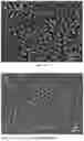 Fig. 11 - PREPARATION METHOD FOR AND USE OF SELF-ASSEMBLY-BASED NITROGEN-DOPED ORDERED POROUS PRECIOUS METAL NANOMATERIAL