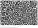 Fig. 14 - PREPARATION METHOD FOR AND USE OF SELF-ASSEMBLY-BASED NITROGEN-DOPED ORDERED POROUS PRECIOUS METAL NANOMATERIAL