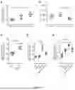 Fig. 09 - CYTOPLASMIC INCOMPATIBILITY FACTORS AND METHODS FOR CONTROLLING ANTHROPODS