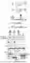 Fig. 16 - CYTOPLASMIC INCOMPATIBILITY FACTORS AND METHODS FOR CONTROLLING ANTHROPODS