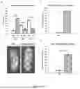 Fig. 27 - CYTOPLASMIC INCOMPATIBILITY FACTORS AND METHODS FOR CONTROLLING ANTHROPODS