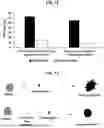Fig. 08 - METHODS FOR MAINTAINING LONG-TERM PLATELET VIABILITY AND ACTIVATABILITY