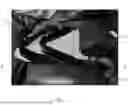 Fig. 05 - BACK SUPPORT DEVICE