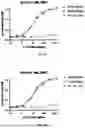 Fig. 15 - PROTONATED pH RESPONSIVE POLYMER ENCAPSULATION OF BISPECIFIC ANTIBODIES AND CYTOKINES