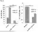 Fig. 85 - COMPOSITIONS AND METHODS FOR ACTIVATING NK CELLS