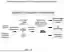 Fig. 29 - COMPOSITIONS AND METHODS FOR ENHANCING ADOPTIVE T CELL THERAPEUTICS