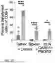 Fig. 31 - COMPOSITIONS AND METHODS FOR ENHANCING ADOPTIVE T CELL THERAPEUTICS