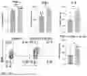 Fig. 33 - COMPOSITIONS AND METHODS FOR ENHANCING ADOPTIVE T CELL THERAPEUTICS