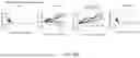 Fig. 53 - COMPOSITIONS AND METHODS FOR ENHANCING ADOPTIVE T CELL THERAPEUTICS