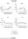 Fig. 07 - CATH2 AND DERIVATIVES FOR INHIBITING STREPTOCOCCUS SUIS