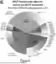 Fig. 09 - USE OF ALBUMIN FOR THE TREATMENT OF DEFECTIVE B-CELL FUNCTION