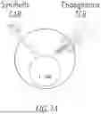 Fig. 02 - CHIMERIC RECEPTOR PROTEINS AND USES THEREOF