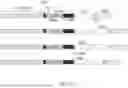 Fig. 37 - CHIMERIC RECEPTOR PROTEINS AND USES THEREOF