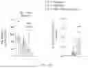 Fig. 50 - CHIMERIC RECEPTOR PROTEINS AND USES THEREOF