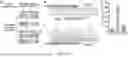 Fig. 02 - NUCLEOTIDE EDITING TO REFRAME DMD TRANSCRIPTS BY BASE EDITING AND PRIME EDITING