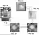 Fig. 02 - TISSUE SCAFFOLD