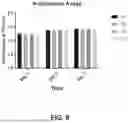 Fig. 09 - TISSUE SCAFFOLD