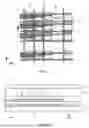 Fig. 07 - MICROFLUIDIC CHIP