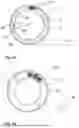 Fig. 07 - COLLOID MILL