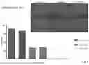 Fig. 06 - SARS-CoV-2 inhibitors - artificial compounds