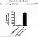 Fig. 01 - HIGH PRODUCTION OF RECOMBINANT PROTEIN BY MAKING CELL HYBRIDS AND ENRICHING FOR A PREFERRED MITOCHONDRIAL PHENOTYPE