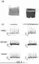 Fig. 09 - CONDUCTIVE ELASTOMERIC FILAMENTS AND METHOD OF MAKING SAME