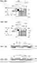 Fig. 06 - OBJECT HOLDING STRUCTURE