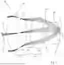 Fig. 02 - Lighting device for a motor vehicle headlight