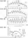 Fig. 06 - Nano-Mechanical Infrared Spectroscopy System and Method Using Gated Peak Force IR
